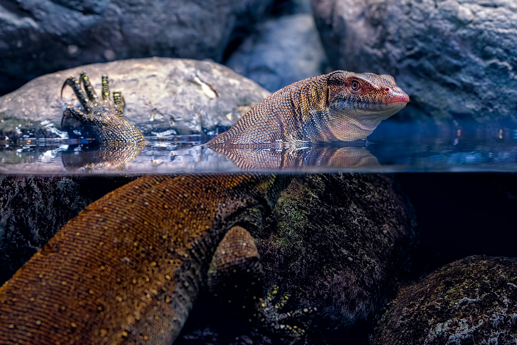 ^ reptilian